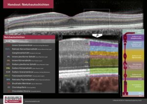 Schwerpunkt Weiterbildung: Standbesucher können das neue, exklusive Handout Netzhautschichten der Heidelberg Engineering Academy kostenlos am Stand 245 abholen.